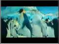 Gurage Tune Be Cartoon