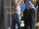 discover sonoma vineyards