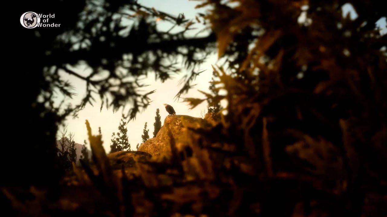 Wundervolle Welt #01: Tierwelt und Ökologie - Video zeigt die Pracht der vielseitigen FF-XV-Welt