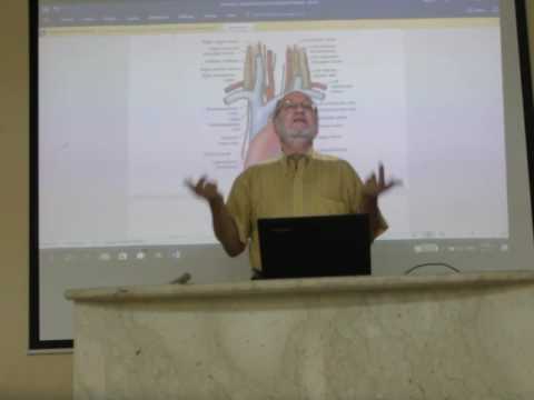 CVS module 14 ( Large veins of the thorax , part 1 ) by , Dr. Wahdan Dr.Wahdan