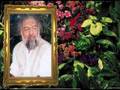 Imam Mehdi Gohar Shahi