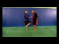 Alpha MMA DemoClip 003