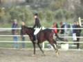 videos de Hunter Club 2 avec Charme Noir