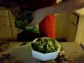videos de SALAD!