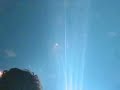 renan luce à limoges ; les voisines