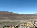 Chilean Field Program Adventure - YouTube