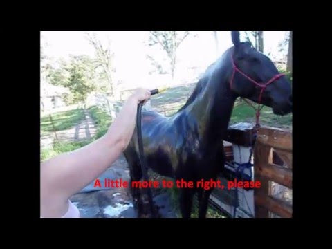 See video