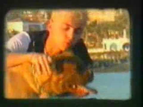 Посмотреть видео клип Посмотреть видео клип