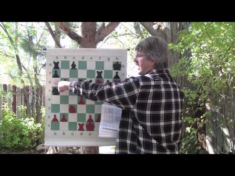 chess knight chess knight