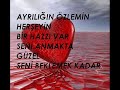 Janem Benim