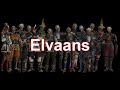 V�deo Final Fantasy XI