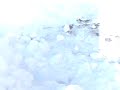 Eko im Schnee