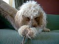 My Delicious Stick