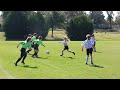 Emily's Goal