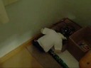Welcome to mah room :B