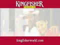 Enter the World of KINGFISHER