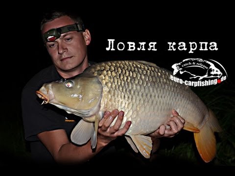 карпфишинг секреты ловли карпа бойлы карпфишинг секреты ловли карпа бойлы