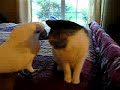 Sensual relationship