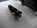 wildman training  bodyweight plyometric x pushups