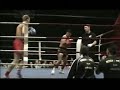 Tigergymgala Tigergymgala