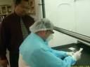PHARMACY COMPOUNDING PHARMACY COMPOUNDING