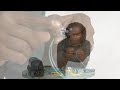 This video reviews fiber optic connector types and where you might find them in your fiber optic network