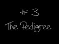 Top 10 Wrestling Finishers!