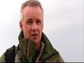 Hen Harriers