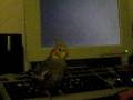 videos de scilla gioca ad arkanoyd