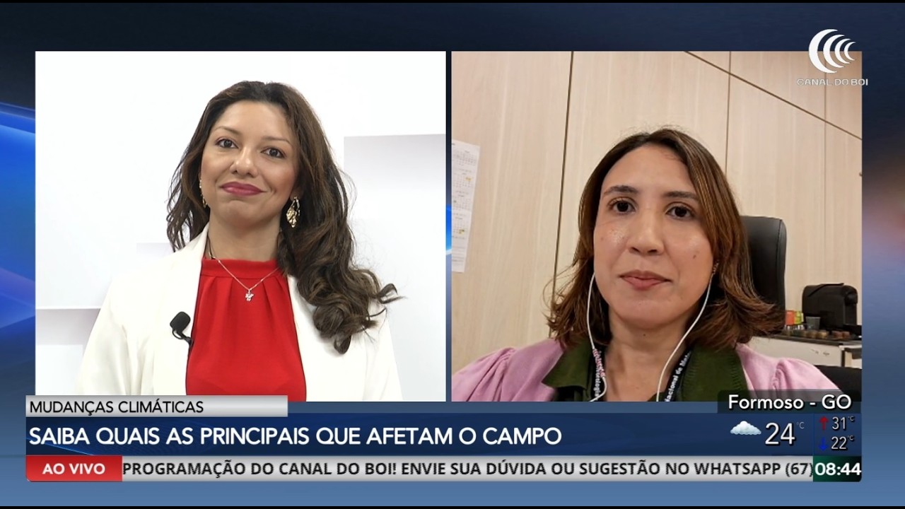 El Niño pode afetar a agricultura brasileira nos próximos meses