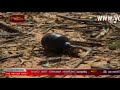 Troops Attack LTTE's 3 rd FDL at Muhamalai Northern War Front 2 nd of December 2008