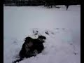 TACKLE A SNOWMAN TACKLE A SNOWMAN