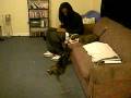 videos de minivschamp