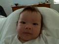 10 Weeks - An Olympian