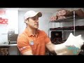 Professional Pizza Tosser - Demo