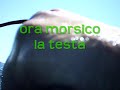 pesca sub al polpo pesca sub al polpo