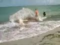 Double Barrel Skimboard Contest Riders