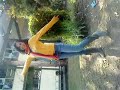 Quiero un Mundo de ecología.MP4