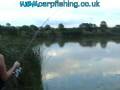 videos de WBM carp fishing