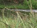 Tumalo Scenery_0002.wmv Tumalo Scenery_0002.wmv