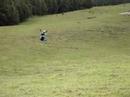Paragliging at ProFlyght in Maui