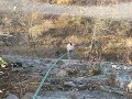 Me Rappelling