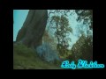 Alice's Magic