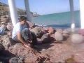 videos de Los Tres Mosqueteros en : 