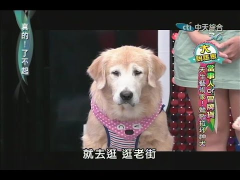 2014.07.29真的了不起part2 天生藝術家!鶯歌拉坯神犬