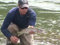 Click here to watch this video how to catch a rainbow on the south fork of the snake river