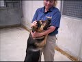 Rescue Video_2small.wmv