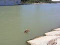 Bote de remos rc Bote de remos rc