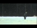 Film Schaatsen bij De Zwaluw 3