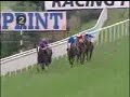 Horse racing stretches part.1